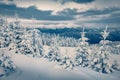 Gloomy winter scene of mountains. Fresh snow covered slopes and fir trees in Carpathian mountains,