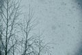 Gloomy winter view during a blizzard and heavy snowfall. Winter view of a tree against a dark sky during a severe snowstorm Royalty Free Stock Photo