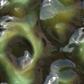 Gloopy rancid slimy mouldy green slimy spawn Royalty Free Stock Photo