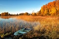 Glorious autumn morning