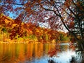 Glorious fall colors with lake as background