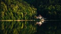 Glorious landscape of a lakehouse in a thick forest reflecting in the water Royalty Free Stock Photo