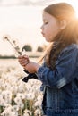 Glorious little girl in denim jacket stand in white dandelions field, holding bouquet of flowers and blowing blossoms. Royalty Free Stock Photo