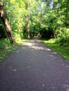 Path To Paradise - Golden Greenery