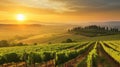 Glorious Tuscan Sunsets: Exploring the Enchanting Vineyards of Italy