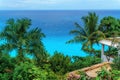 Glorious view on the Caribbean azure sea and green palm trees