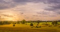 Glorious Worcestershire Countryside Royalty Free Stock Photo