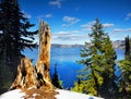 Crater Lake National Park, Oregon United States Royalty Free Stock Photo