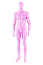 Gloss pink color mannequin male isolated