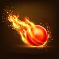 Glossy Ball for Cricket Sports concept. Royalty Free Stock Photo