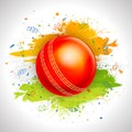 Glossy Ball for Cricket Sports concept. Royalty Free Stock Photo