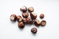 Glossy chestnuts on white background Royalty Free Stock Photo