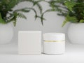 Glossy cream jar with packaging box on a white background with fern plants Royalty Free Stock Photo
