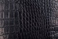 Glossy crocodile or snake skin leather background. Black texture covered with water drops Royalty Free Stock Photo