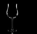 Transparent Wine Glases in Black Background