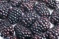 Glossy drupelet design creates contrast, Micro blackberry pattern with shiny finish, Glossy blackberry motif with repeated Royalty Free Stock Photo