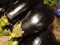 Glossy Eggplant Royalty Free Stock Photo