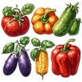 Glossy eggplants with ripe tomatoes.