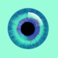 Glossy eye ball Royalty Free Stock Photo