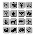 Glossy Farming Crop Icons