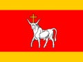 Glossy glass flag of Kaunas