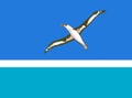 Glossy glass flag of Midway Atoll