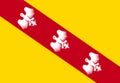 Glossy glass Flag of the region Lorraine in France.