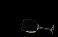 A glossy glass of white wine lies on black background with copy space Royalty Free Stock Photo