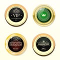 Glossy and gold labels . Colored stones set