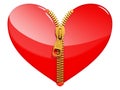 Glossy heart with zipper Royalty Free Stock Photo