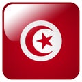 Glossy icon with flag of Tunisia Royalty Free Stock Photo