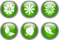 Glossy leaf and flower icons