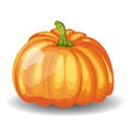 Glossy Orange Pumpkin