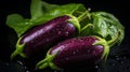 Glossy purple eggplant close up with dramatic lighting, shallow depth of field, nikon z6, f5.6 Royalty Free Stock Photo