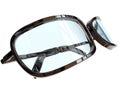 Glossy Reading Glasses, Modern Spectacles