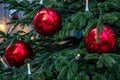 Glossy red Christmas balls on fresh green fir branches of Christmas tree illuminated with Christmas lights garlands. Royalty Free Stock Photo