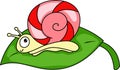 Glossy red spiral candy snail