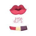 Glossy Rouge lips and red, pink color lipsticks, fashion concept, Vector illustration. Royalty Free Stock Photo