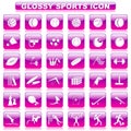 Glossy Sports Button