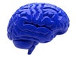 Blue human brain model isolated on white background Royalty Free Stock Photo