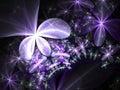 Glossy violet fractal flowers