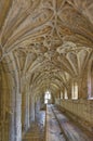 Gloucester Cathedral. ancient interior and harry potter film location