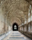 GLOUCESTER, UK - August 17, 2011: A corridor in the Cloister of Gloucester Cathedral