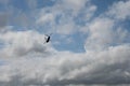 GLOUCESTERSHIRE, ENGLAND - 15 July 2023: Bell Boeing V-22 Osprey at RIAT