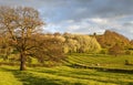 Gloucestershire Landscape Royalty Free Stock Photo