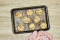 a glove cook with tray of homemade chocolate chip cookies on wood table Royalty Free Stock Photo