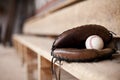 Glove in Dugout Royalty Free Stock Photo