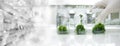 Glove wearing hand of scientist three bottle of plant tissue culture in biotechnology science laboratory banner background