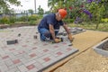 A gloved craftsman lays paving stones in layers. Brick paving slabs for professional use. Laying gray concrete paving slabs in the Royalty Free Stock Photo