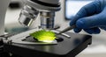 Close-up of a scientist examining a green leaf sample under a powerful microscope in a laboratory Royalty Free Stock Photo